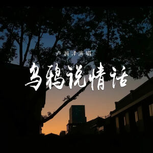 Album 乌鸦说情话 from 卢润泽