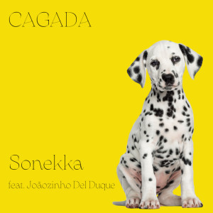 Sonekka的专辑Cagada