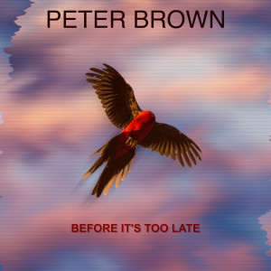 Before It's Too Late dari Peter Brown