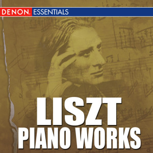 Various的專輯Liszt: Solo Piano Works