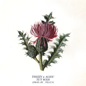 Album Tut weh (Explicit) from 