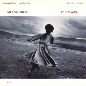 ดาวน์โหลดและฟังเพลง On The Wing พร้อมเนื้อเพลงจาก Stephan Micus