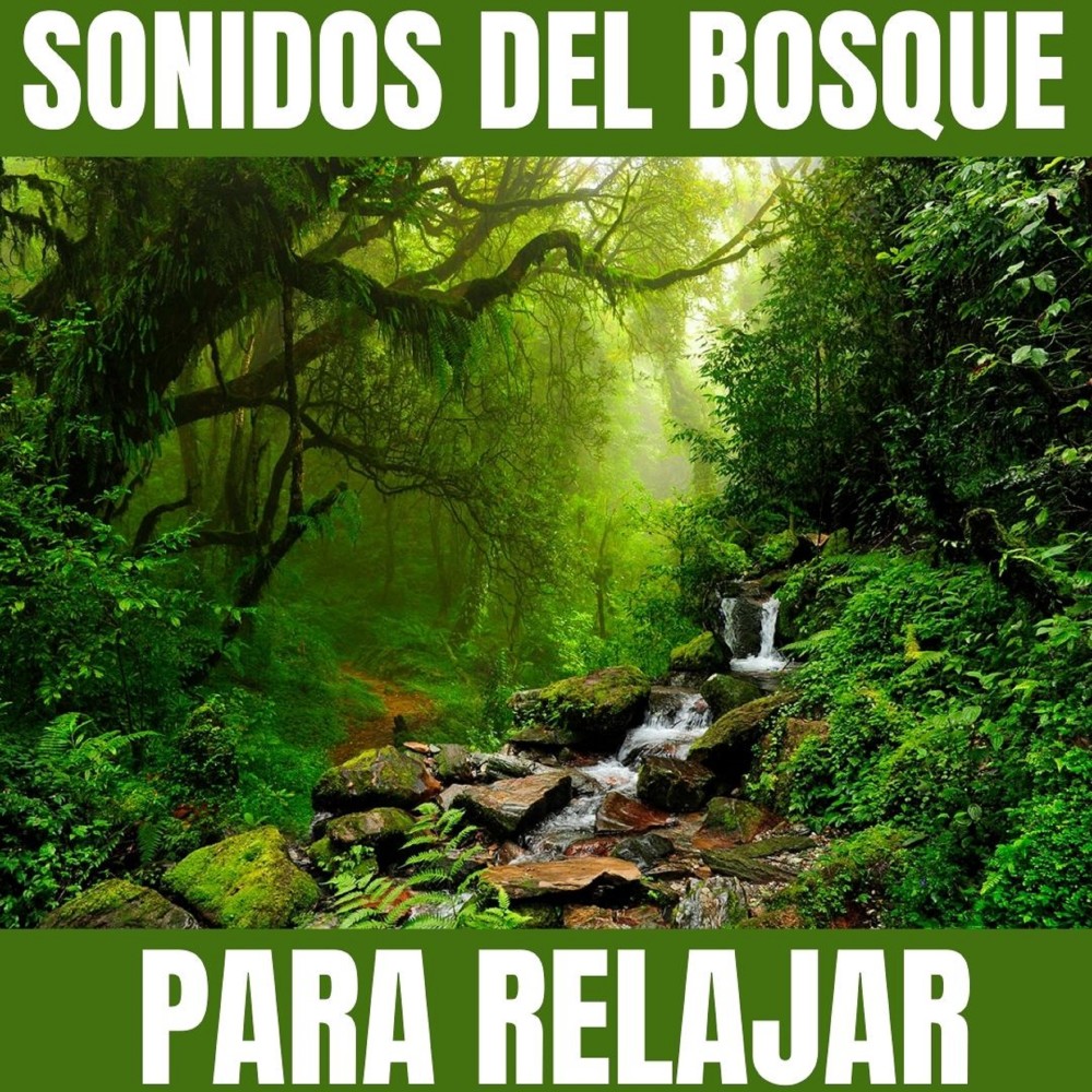 Sonidos de Relajacion