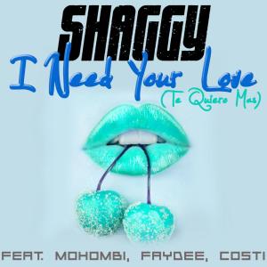 ดาวน์โหลดและฟังเพลง I Need Your Love (Te Quiero Mas) พร้อมเนื้อเพลงจาก Shaggy