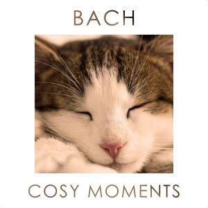 收聽Orpheus Chamber Orchestra的J.S. Bach: Orchestral Suite No. 3 in D Major, BWV 1068 - 2. Air歌詞歌曲