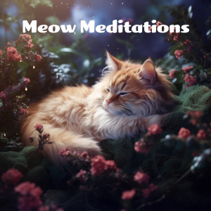 Meow Meditations