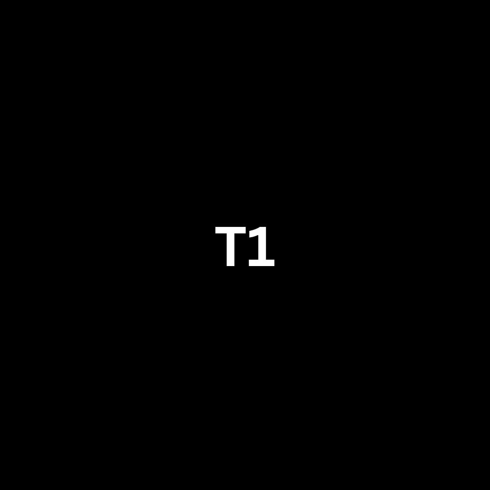 T1