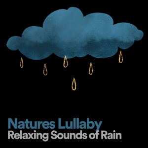 Natures Lullaby Relaxing Sounds of Rain