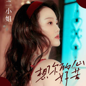收聽二小姐的想你的心好苦歌詞歌曲