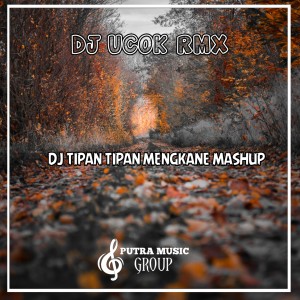 Album Dj Tipan Tipan Mengkane Mashup from DJ UCOK RMX