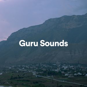 Album Guru Sounds from 