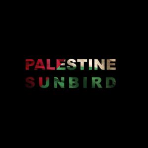 John Spillane的專輯Palestine Sunbird