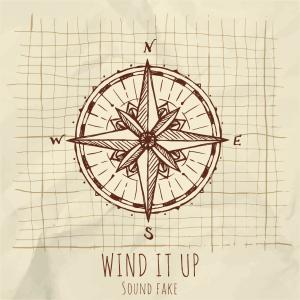 Album Wind It Up from Sound Fake