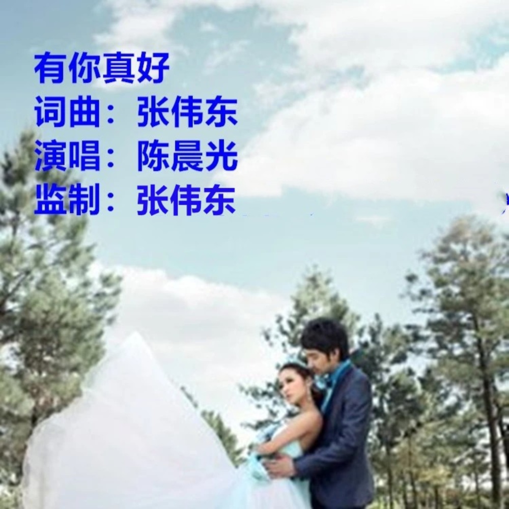 有你真好     演唱：陈晨光 (完整版)