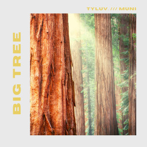 Listen to Big Tree song with lyrics from TyLuv.
