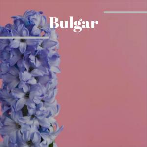 Listen to Belgium Morning song with lyrics from Juleen Viet