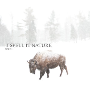 收聽I Spell it Nature的Rise and Fall歌詞歌曲