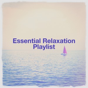 Listen to Piano Sonata No. 8, "Pathétique", Op. 13: II. Adagio cantabile song with lyrics from Silvio Lando