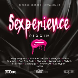 收聽的Experience (Explicit)歌詞歌曲