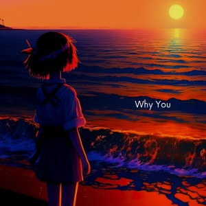 Album Why You oleh lofi stu