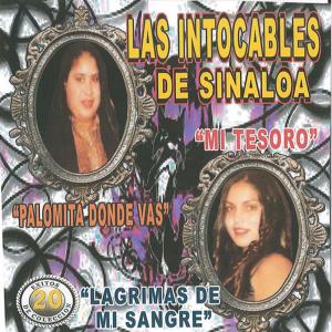 收聽Las Intocables De Sinaloa的Voy de Pasada歌詞歌曲