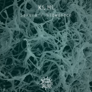 ดาวน์โหลดและฟังเพลง Slowdance พร้อมเนื้อเพลงจาก Ki.Mi.