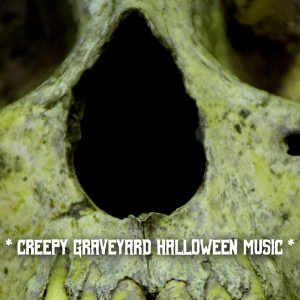 The Haunted House of Horror Sound Effects的专辑* Creepy Graveyard Halloween Music *