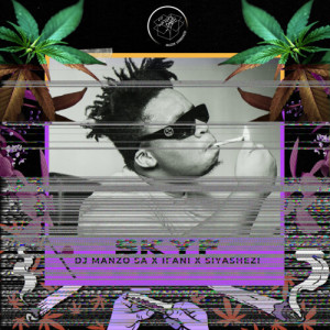 Listen to SKYF song with lyrics from DJ Manzo SA