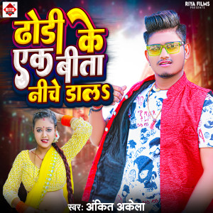 Listen to Dhodhi Ke Ek Bita Niche Dal song with lyrics from Ankit Akela