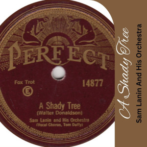 อัลบัม A Shady Tree ศิลปิน Sam Lanin and His Orchestra