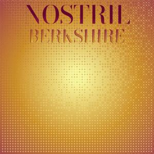 Listen to Nostril Berkshire song with lyrics from Rosna Satra