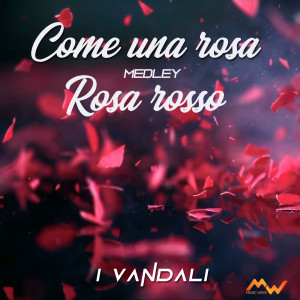 I Vandali的專輯Come una rosa / Rosa rosso