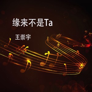 收聽王崇宇的新郎不是我 (伴奏)歌詞歌曲