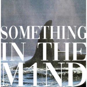 Yenn的專輯Something In The Mind (feat. Vxbrxnt, Correi Kamir & THUNDARI) [Explicit]