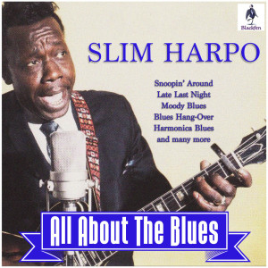 Listen to Moody Blues song with lyrics from Slim Harpo