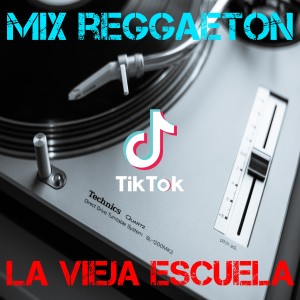 Dengarkan Mix Reggaeton La Vieja Escuela lagu dari Dj TikTok Viral dengan lirik