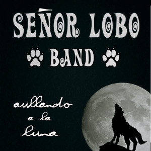 ดาวน์โหลดและฟังเพลง Un Mago Raro พร้อมเนื้อเพลงจาก Señor Lobo