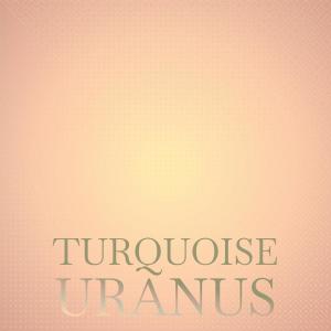 Various Artists的專輯Turquoise Uranus