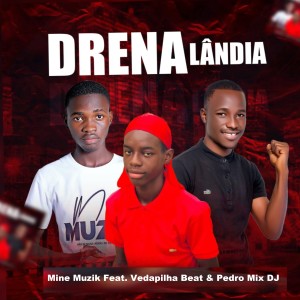 Listen to Drenalândia song with lyrics from Mine Muzik