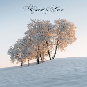 收聽Soulgarden的Moment of Peace歌詞歌曲
