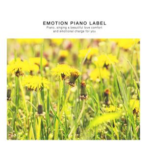 Album Your Afternoon (Healing New Age Piano Collection) from Various Artists