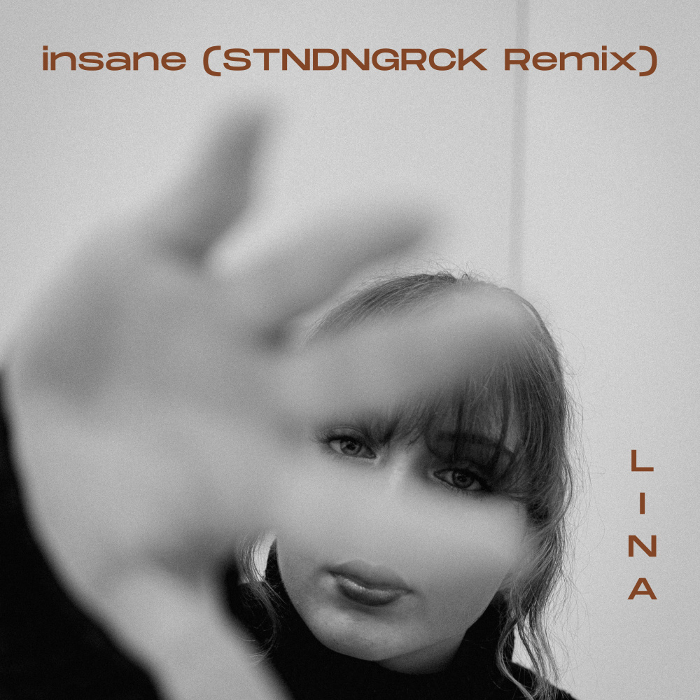 INSANE (STNDNGRCK Remix)