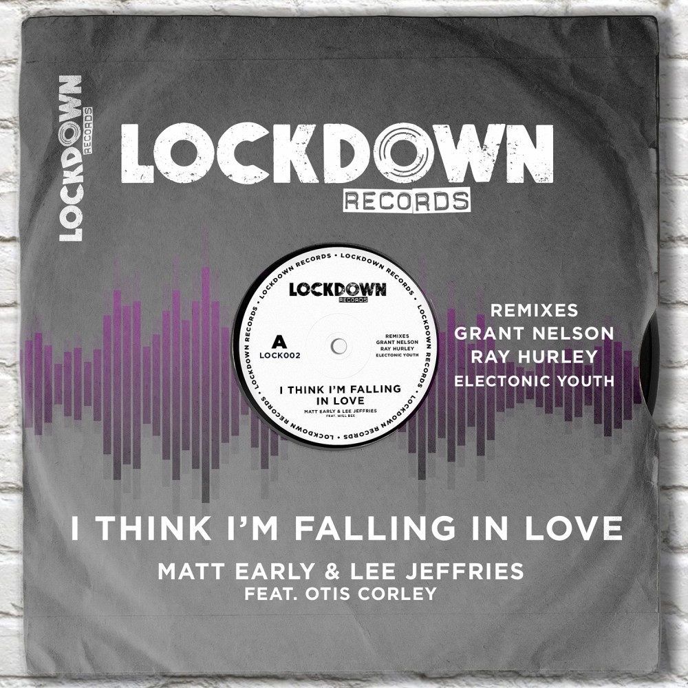 I Think I'm Falling in Love (Ray Hurley & Matt Early Remix)