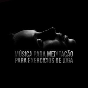 Album Música para Meditação para Exercícios de Ioga (Poses de Ioga Relaxantes e Saudáveis para o Corpo) from Meditação Música Ambiente