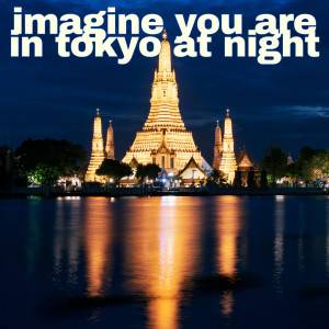 อัลบัม imagine you are in tokyo at night ศิลปิน 