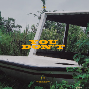 Listen to You Don't (伴奏) song with lyrics from 买辣椒也用券