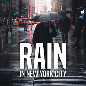 The Nature Soundscape的专辑Rain in New York City