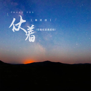 收聽林星洛的仗着 (你就仗着我愛你)歌詞歌曲