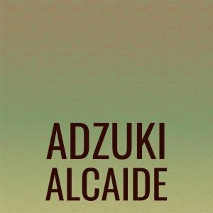 Listen to Macduff Nocturne song with lyrics from Fredrica Bazi