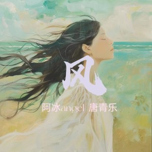 Album 风 from 阿冰angel
